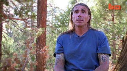 Real attacks of Tigers