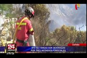 España: 810 hectáreas vienen siendo devoradas por incendios forestales