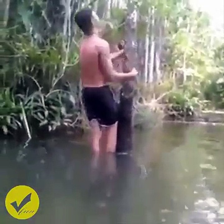 Top 10 best funny video