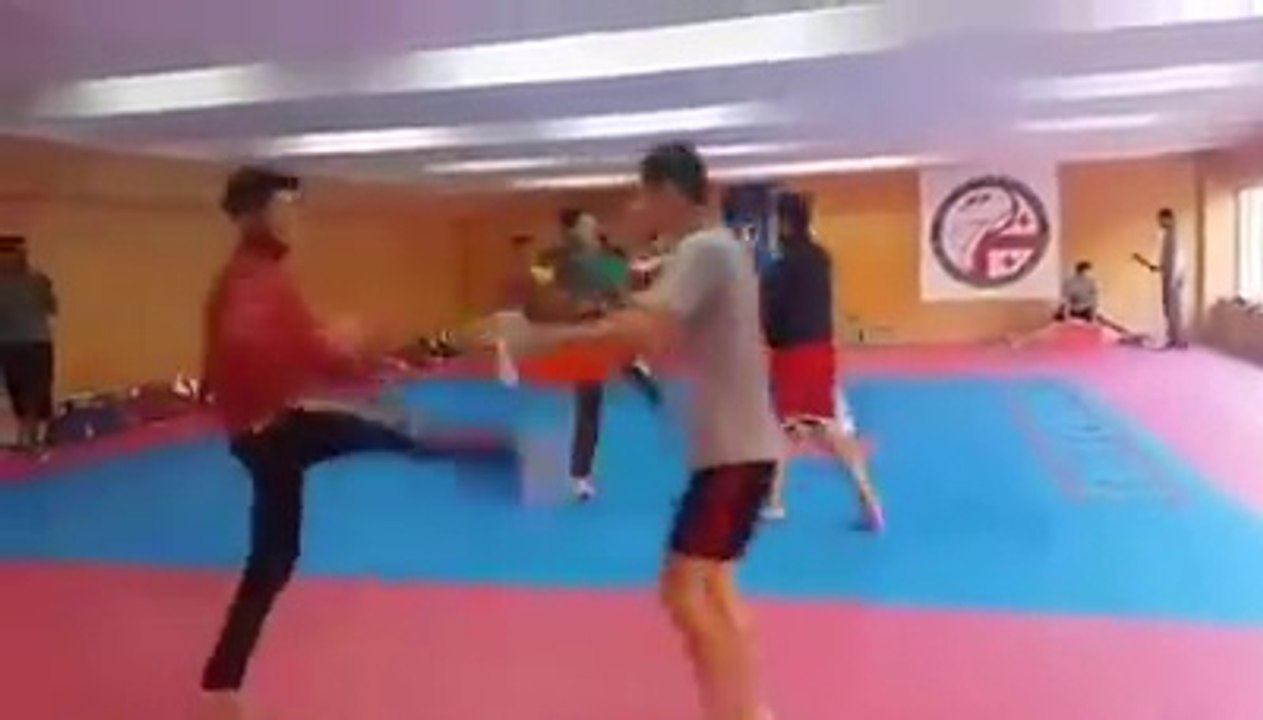 taekwondo fighter