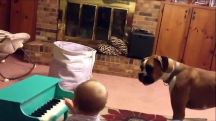 Duo le plus adorable : le bébé au piano et le chien au chant!