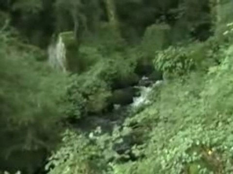 Les Gorges du Narvau à Lormes