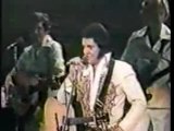 Elvis In Concert - June 19, 1977