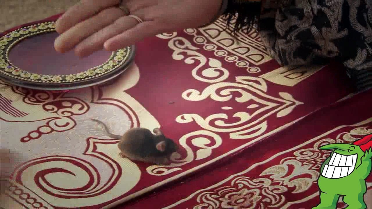Mouse Coming Out of a Psychic - Just For Laughs Gags 2016