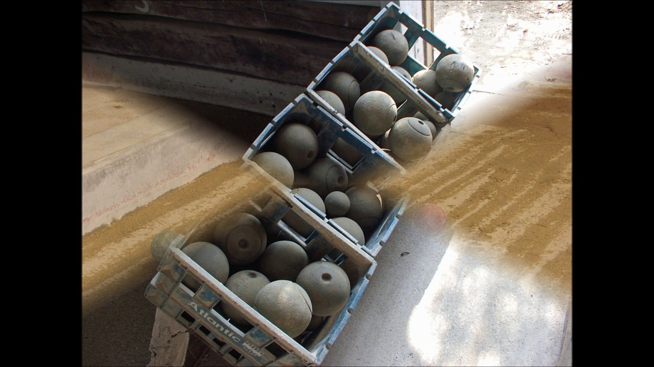 Boule vignoble nantais terrain plat