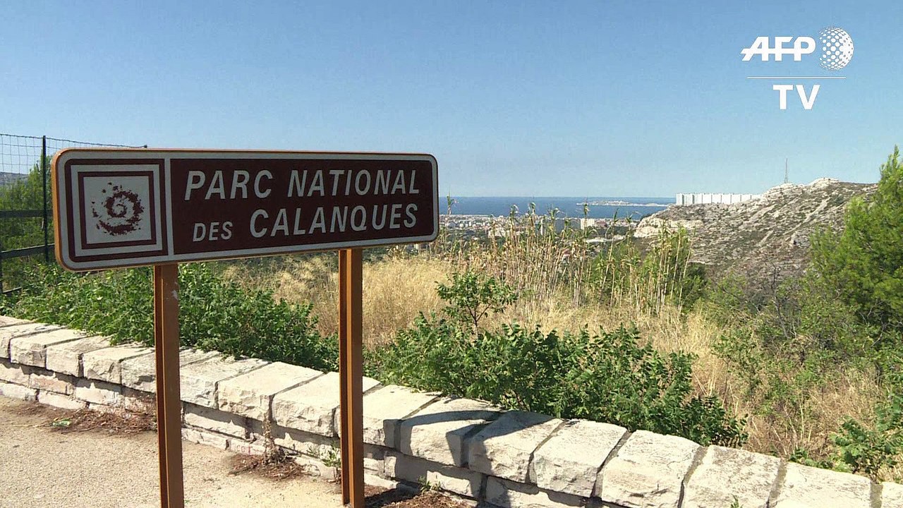 Marseille: 390 hectares brûlés dans le Parc des calanques