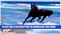 [PDF] BABY the SEAhorse   MErmaid A CookBOOK 4 ALL Horses, Donkeys, Ponys   Camels 2 Full Collection