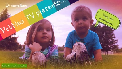 Toddlers explain why you shouldn't eat mushrooms