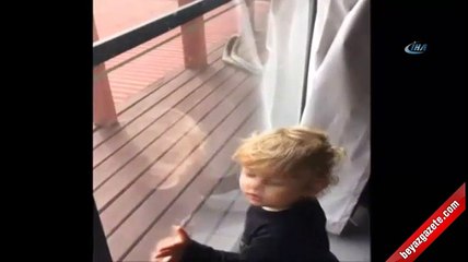 Evin verandasındaki piton kavgası