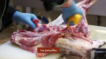 Découpe de l'agneau - IND Fleurus