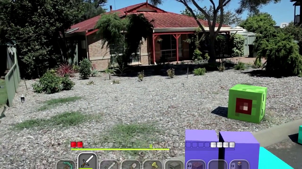 minecraft deguisement