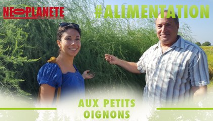 [Aux petits oignons] Cuisine bio et végétarienne : le chef d'Amy's Kitchen présente son potager