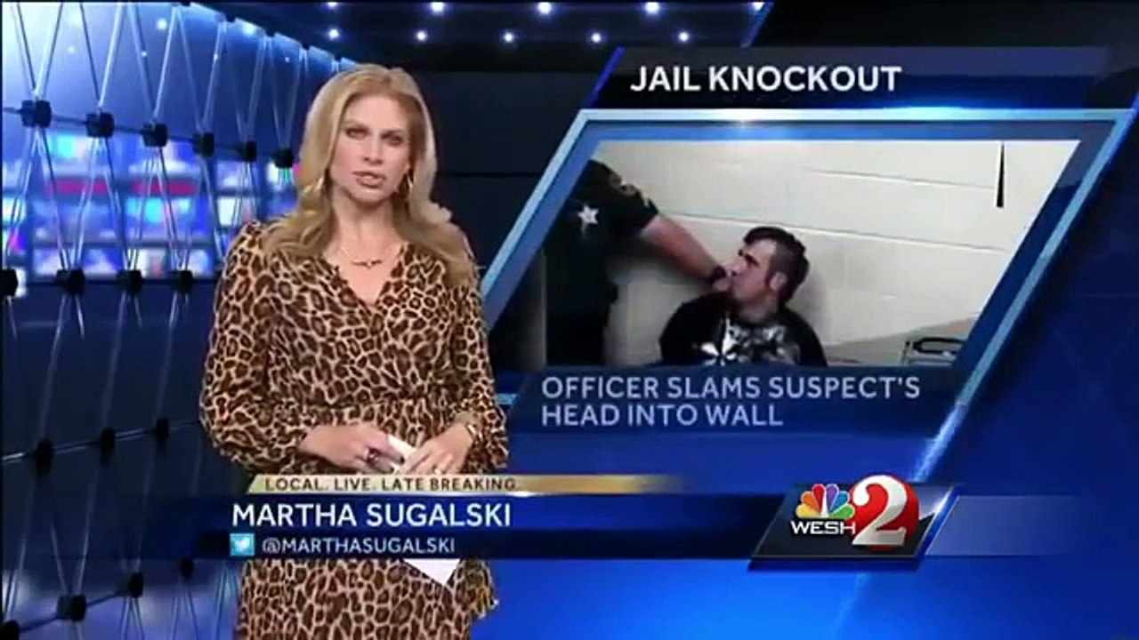 Police Officer KNOCKS OUT Suspect And Then Lies About It
