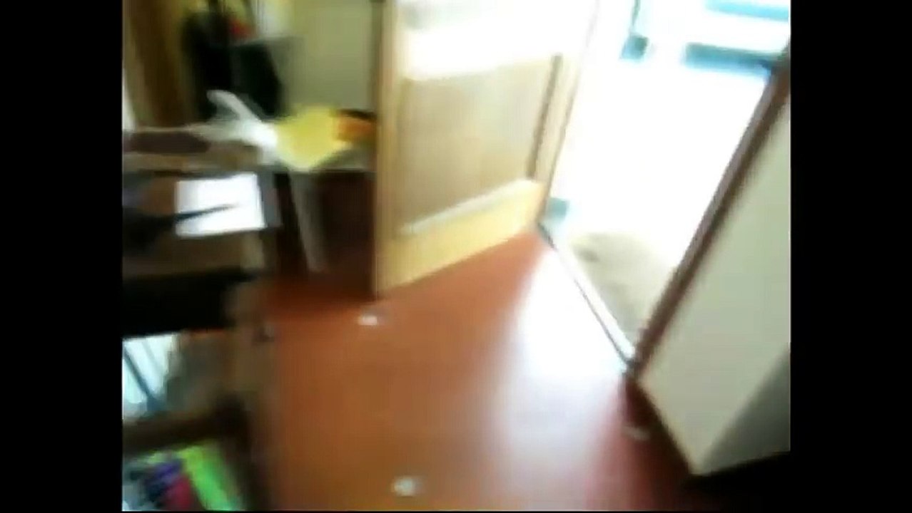 Ce père piège son fils : Si ! Non ! Si ! Non ! Non ! LOL