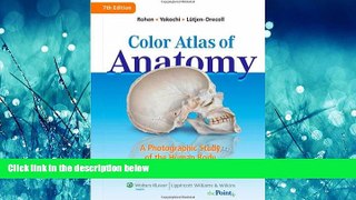 Enjoyed Read Color Atlas of Anatomy: A Photographic Study of the Human Body