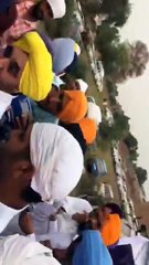 bhagwant mann drunk bargari incident