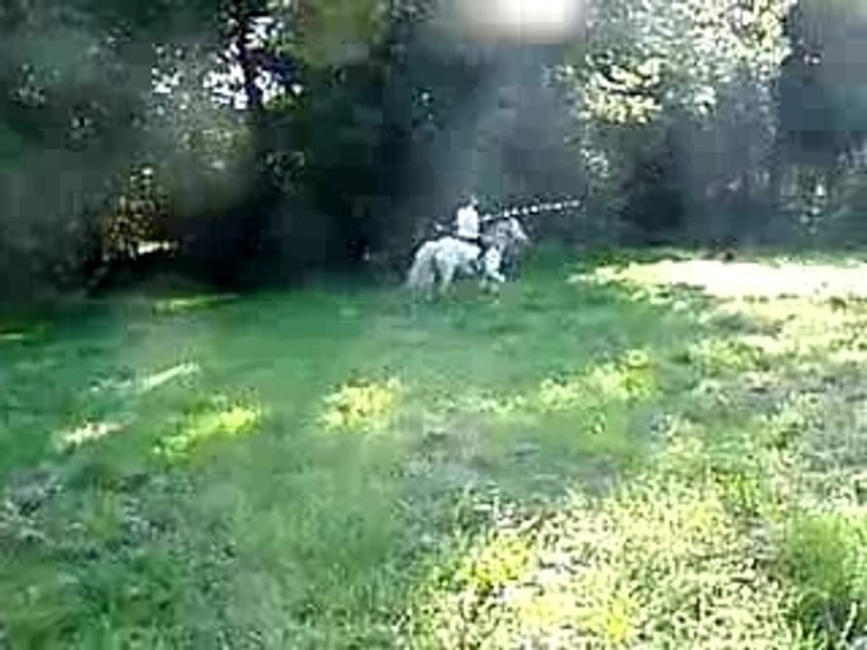 Caro dans le décor !