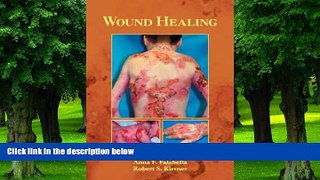 Big Deals  Wound Healing (Basic and Clinical Dermatology)  Free Full Read Most Wanted