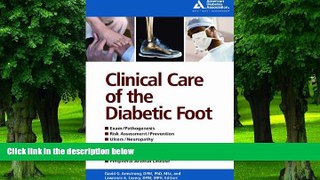 Big Deals  Clinical Care of the Diabetic Foot  Free Full Read Best Seller