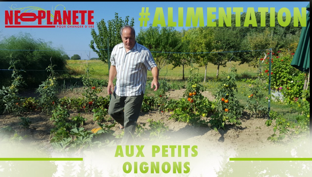 [Aux petits oignons] Dans le potager bio du chef d'Amy's Kitchen