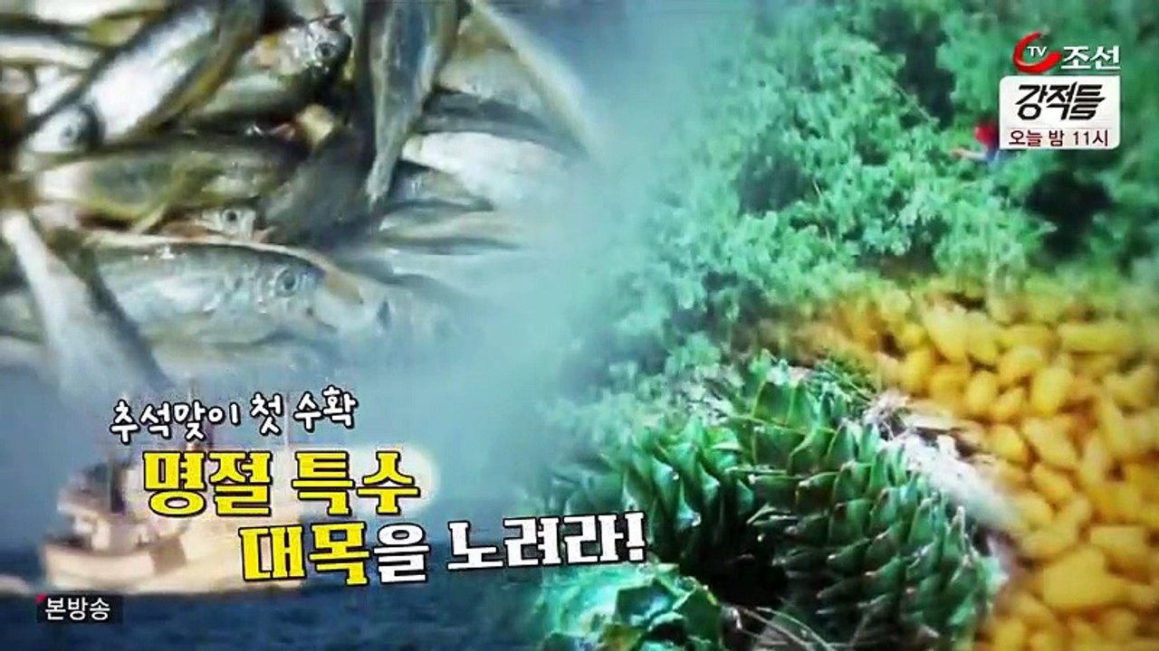 헌터