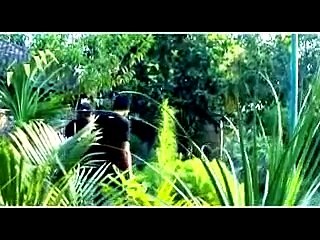 LAGU LOMBOK SASAQ - TETUNDUNG SIQ MENTOAK