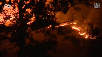 Portekiz'de orman yangını sorunu çözülemiyor