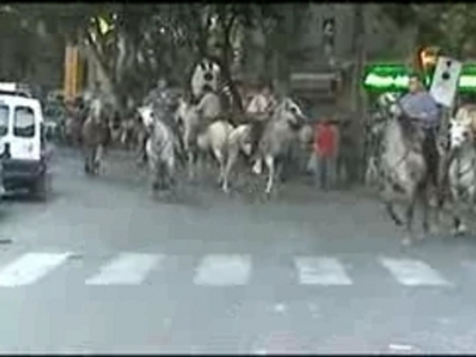 Abrivado 4 Aout