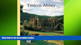 FREE PDF  Tintern Abbey (CADW Guidebooks)  BOOK ONLINE
