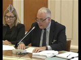 Roma - Audizione del responsabile della Direzione generale per la vigilanza (07.09.16)
