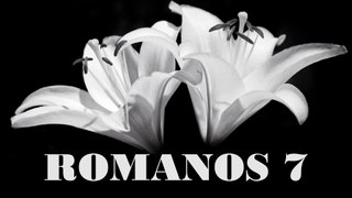 Romanos - 07