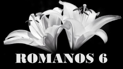 Romanos - 06