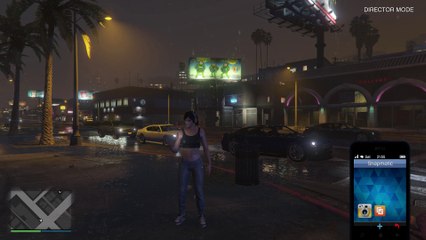 GTA V DIRECTOR MODE