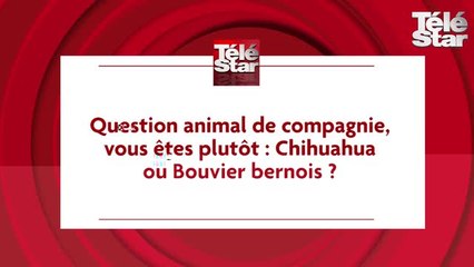 Alex Hugo : l'interview de Samuel Le Bihan et Lionnel Astier