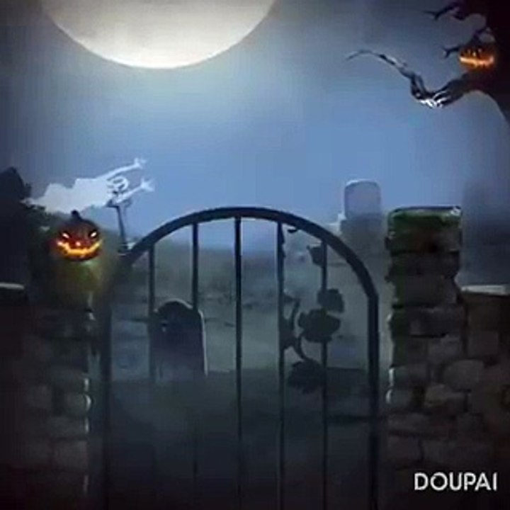 indian funny  video (38)