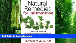 Big Deals  Natural Remedies for Inflammation  Best Seller Books Most Wanted