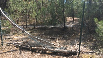 Les dunes de Pen Bron, espaces très fragiles