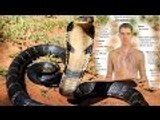 GIANT VENOMOUS SNAKE EVER_AND BITE EFFECT