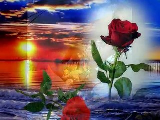 Eşref Ziya Gözyaşı dökme *YUSUF*