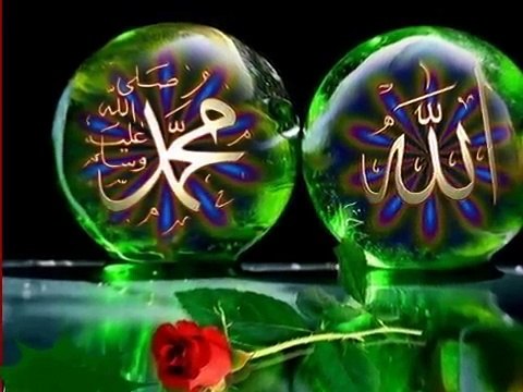 ERTUĞRUL ERKİŞİ GÜLLERİN EFENDİSİ