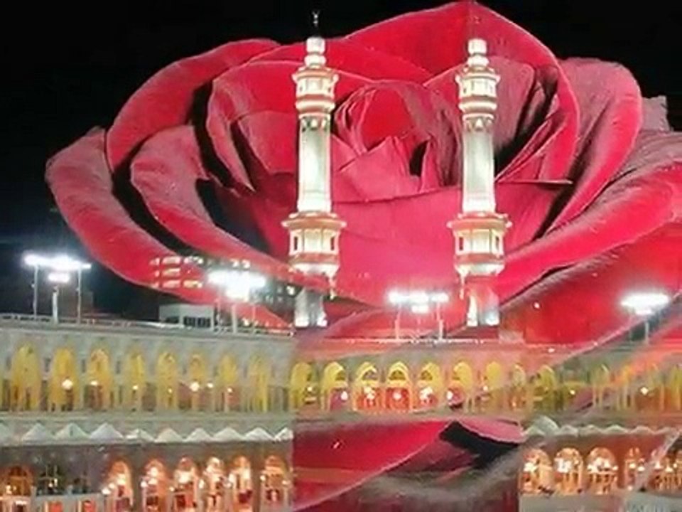 Islandı Seccadem Gözyaşlarımla