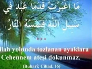 EFENDİM (SAV) AKLIMA DÜŞTÜ AĞLARIM