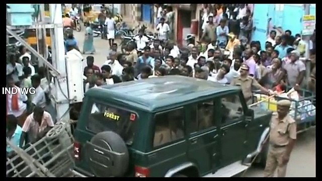 Viral video Indian Dangerous Bison (gaur) - Enter the city and attack the people