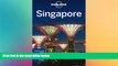 there is  Lonely Planet Singapore (Travel Guide)