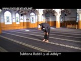 How to perform salat al fajr - Two Rakahs Sunnah (Down Prayer)