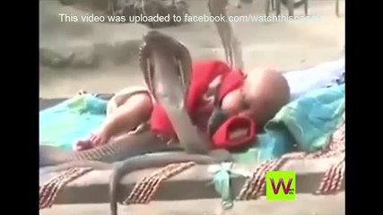 watch this dangerous baby with snake