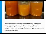 Fracking pollution; New genus of bacteria found living inside hydraulic fracturing wells