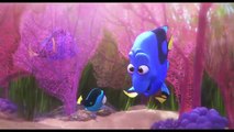 Finding Dory ALL MOVIE CLIPS - 2016 Pixar Animation