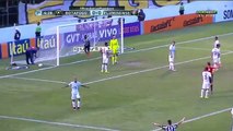 Botafogo vs Fluminense 1-0 All Goals (Campeonato Brasileiro )2016