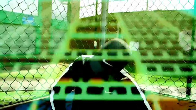 Lady Leshurr on the rise and rise of Grime